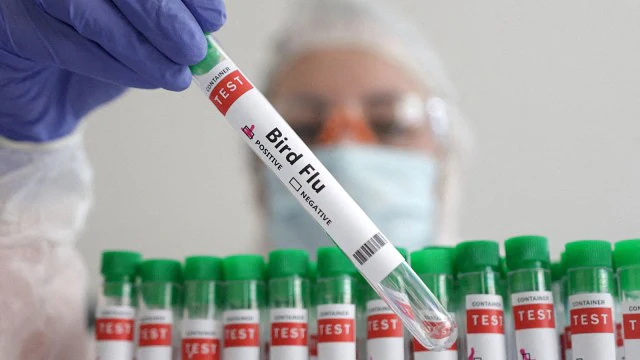 Bird Flu Amid Rising Infections