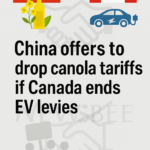 China Offers to Remove Canola Tariffs if Canada Withdraws EV Levies, Says Ambassador