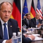 Germany’s Friedrich Merz warns rules-based global order has collapsed