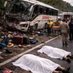 Two Canadian Sunwing Guests Killed in Bus Crash in Dominican Republic