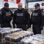 Canada: 87 Kilograms of Cocaine Seized at Coutts Border Crossing