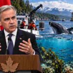 Carney Unveils C$1.2 Billion Ocean Protection Plan as West Coast Projects Advance